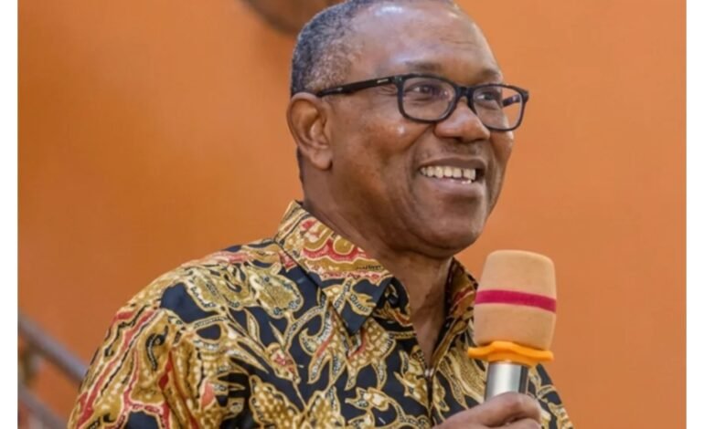 2027: You have the power to ensure credible elections – Peter Obi to Nigerians