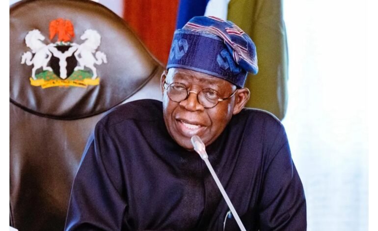2027: I will wrestle my opponents to finish point – Tinubu vows