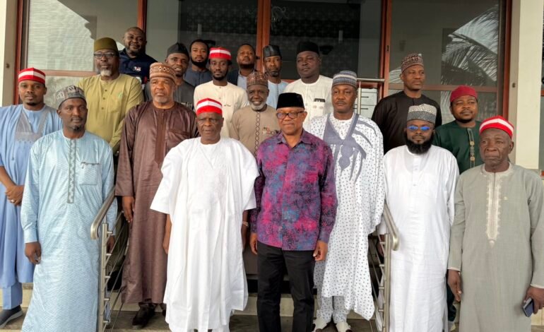 2027: Peter Obi, Kwankwaso meet NDC governorship candidates in Abuja