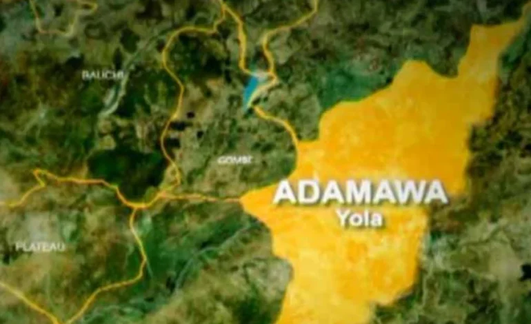 B’Haram kills police officer, seven others in Adamawa