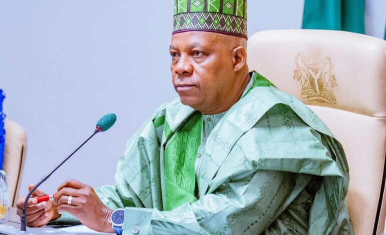 Peter Obi has nothing to offer Nigerians except statistics – Shettima